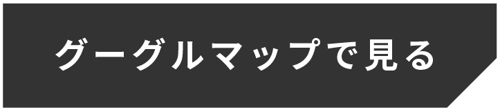 グーグルマップ